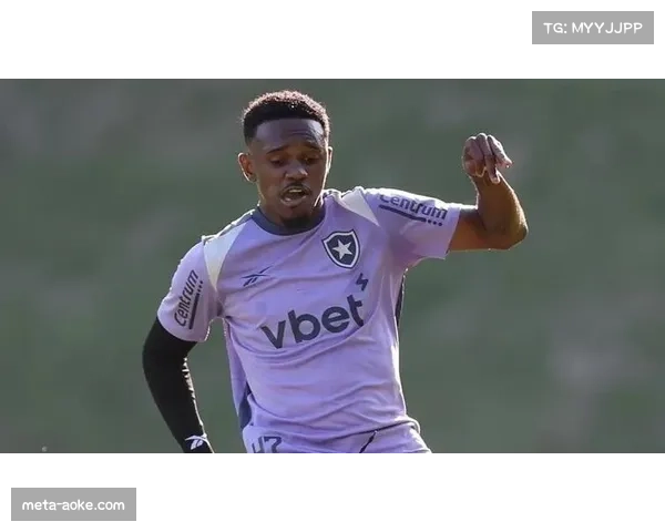 辽宁铁人租借热菲尼奥成标王 巴西边锋450万欧元身价加盟球队